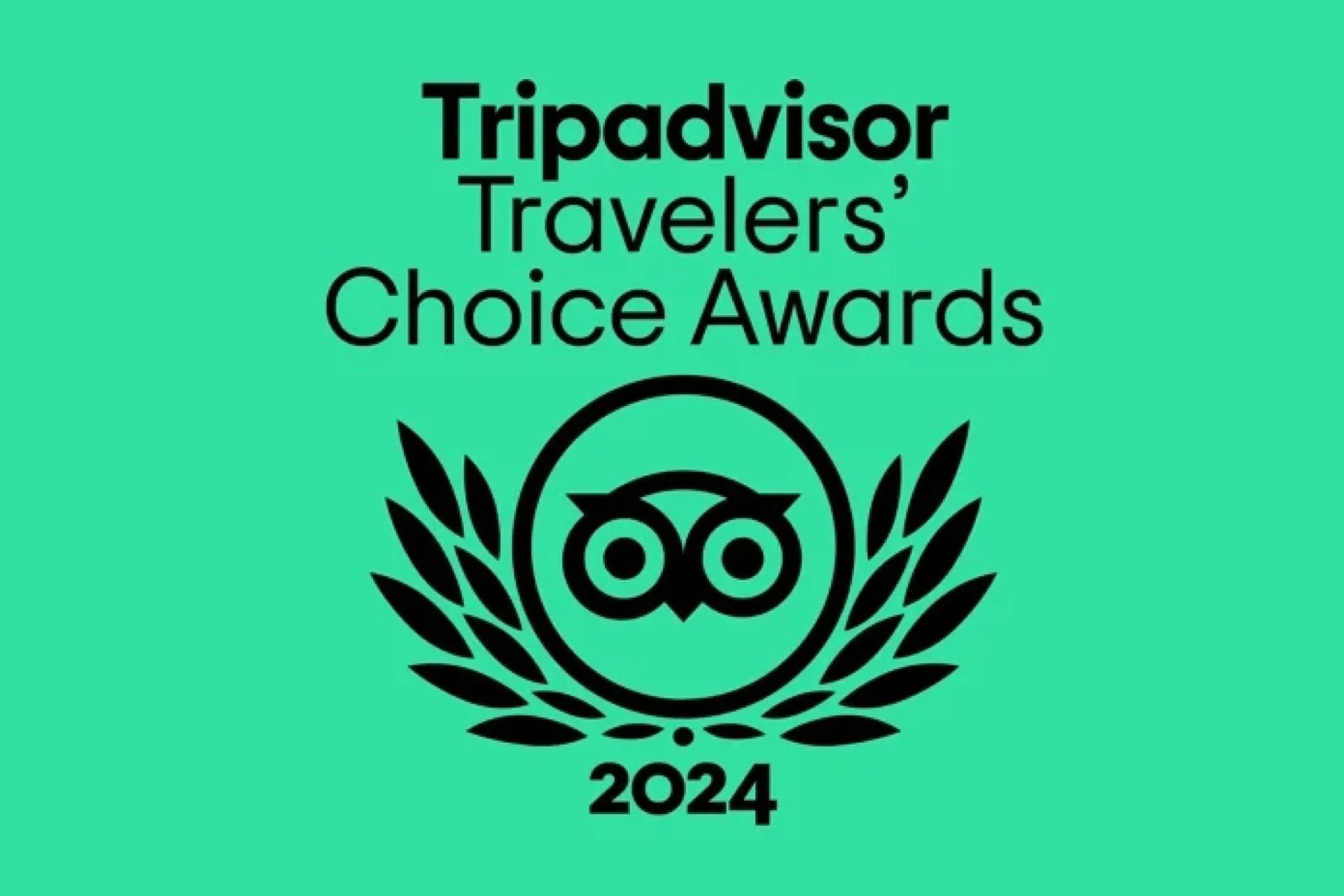 Travelers' Choice Award 2024